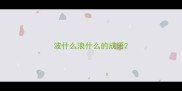 波什么浪什么的成语