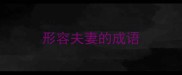 形容夫妻的成语