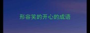 形容笑的开心的成语