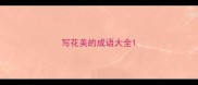写花美的成语大全