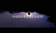 好成语和意思是什么成语