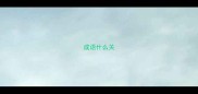成语什么关