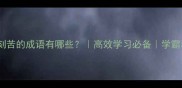 形容勤奋刻苦的成语有哪些高效学习必备学霸私藏清单