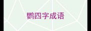 鹦四字成语