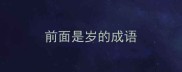 前面是岁的成语