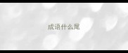 成语什么尾