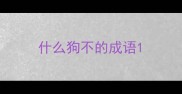 什么狗不的成语
