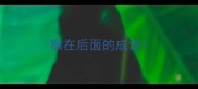 猴在后面的成语