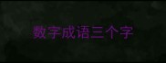 数字成语三个字