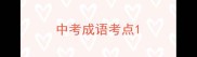 中考成语考点
