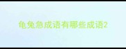 龟兔急成语有哪些成语