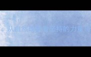 水滴石穿从自然现象看坚持的力量与成语智慧