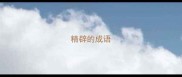 精辟的成语