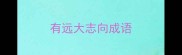 有远大志向成语