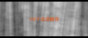 100个成语翻译