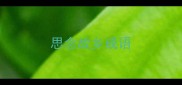 思念故乡成语