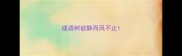 成语树欲静而风不止