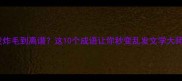头发炸毛到离谱这10个成语让你秒变乱发文学大师