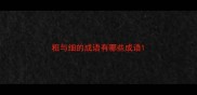 粗与细的成语有哪些成语