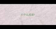 斤什么成语