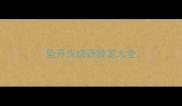 坠开头成语接龙大全