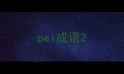 pei成语