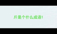 斤是个什么成语