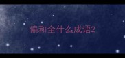 偏和全什么成语