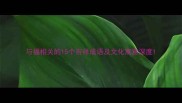 与福相关的15个吉祥成语及文化寓意深度