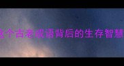 飞蛾扑火这个古老成语背后的生存智慧与当代启示