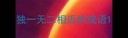 独一无二相近的成语