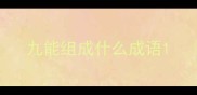 九能组成什么成语
