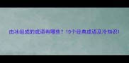 由冰组成的成语有哪些10个经典成语及冷知识