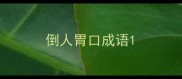 倒人胃口成语