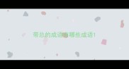 带总的成语有哪些成语