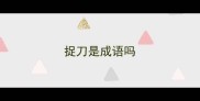 捉刀是成语吗