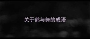 关于鹤与舞的成语