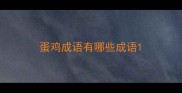 蛋鸡成语有哪些成语