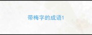 带梅字的成语