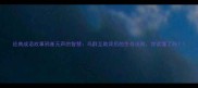 经典成语故事鸦雀无声的智慧鸟群互助背后的生存法则你读懂了吗