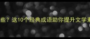 带挽的成语有哪些这10个经典成语助你提升文学素养附详细