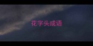 花字头成语