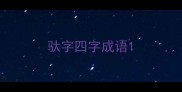 驮字四字成语