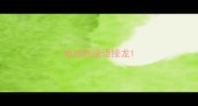 地地的成语接龙