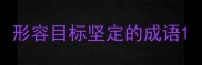 形容目标坚定的成语