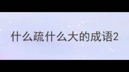 什么疏什么大的成语