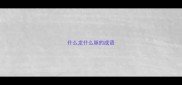 什么龙什么脉的成语