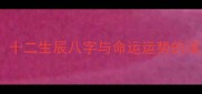 十二生肖生辰密码十二生辰八字与命运运势的深度含原创文章