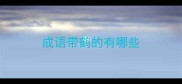 成语带鹤的有哪些