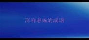 形容老练的成语